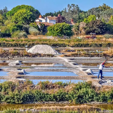 Stunning In En Lile *